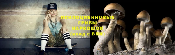 стафф Баксан