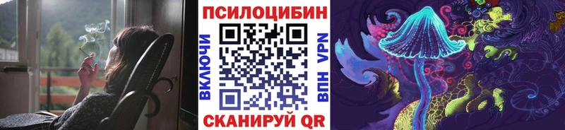 дарк нет состав  Печора  Галлюциногенные грибы мицелий 